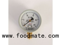 (Y-60/63、Y-60/63Z、Y-60/63T、Y-60/63ZT) 60mm Economical Lower Mount/Back Mount /Flanged Steel Case Pre