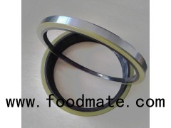 High Performance TC TB TA SA Type FKM Viton Oil Seals