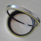 High Performance TC TB TA SA Type FKM Viton Oil Seals