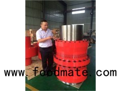 Industrial Equipment Professional Design Non-standard Drum Gear Coupling With Good Quality