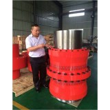 Industrial Equipment Professional Design Non-standard Drum Gear Coupling With Good Quality