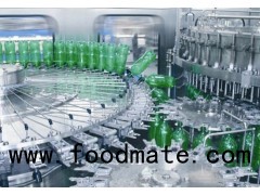 Automatic Water Plant Bottle Filling Machine