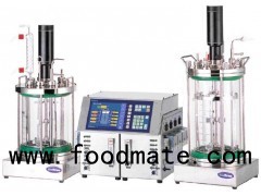 Single Vessel Stainless Milk Fermentation Brewing Fermenter