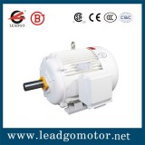 NEMA Standard Casting Iron Squirrel Cage Three Phase Asynchronous Electric AC Motor For Oil Well Pum