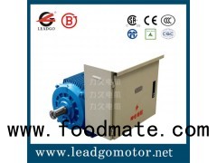 YDGJ Series Multi-power Three Phase Induction Motors With Power Converting, Short Circuit, Over Load