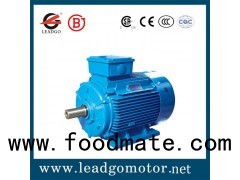 YD Series Pole-changing Multi-speed Three Phase Induction Motor