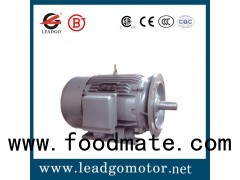 Three Phase Induction Electric Motor For Injection Molding Machine
