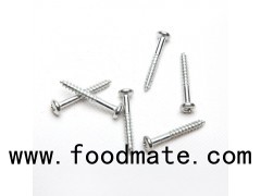 Stainless Steel Roofing Nails