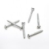 Stainless Steel Roofing Nails