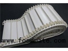 Different Surface Conveyor Belt With Skirt Rim, Cleats And Guide Bar