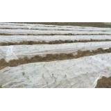 Eco-friendly Polypropylene Non Woven Fabric For Agriculture