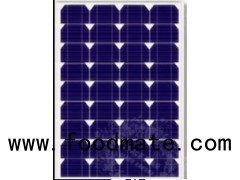 China Top 10 Manufacture Mono 50 Watt Solar Panel