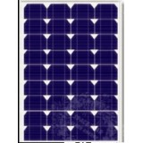 China Top 10 Manufacture Mono 50 Watt Solar Panel