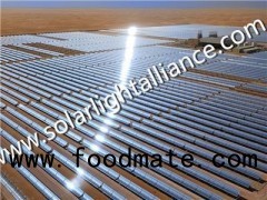 High Efficiency 1000 Solar Panel for Solar Power Plant/Solar System