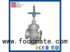 Stainless Steel Flanged Full Port Diversion Hole Flat Gate Valve