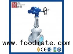 API 6D Standard Double Disc Stainless Steel Resilient Wedge Gate Valve With Electric Actuator