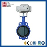JIS Standard High Performance Low Pressure Lug Cast Steel Center Line Type Butterfly Valve With Elec