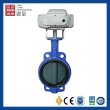 JIS Standard High Performance Low Pressure Lug Cast Steel Center Line Type Butterfly Valve With Elec
