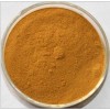 Opuntia ficus-indica Extract