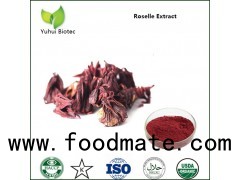 roselle extract,DRY ROSELLE POWDER,Hibiscus sabdariffa extract,Hibiscus extract