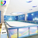 Low Friction Plastic-synthetic Ice Sheets For Plastic Ice Skating Rink