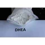 Dehydroepiandrosterone(DHEA)