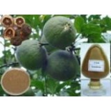 Synephrine（synephrine For Weight Loss）