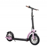New 500watts Hub Motor Electric Kick Scooters With 36v Lithium Battery