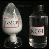 1-MCP Microcapsules For Kiwifruit Can Maintain The Quality During The Storage, Transportation And Sa