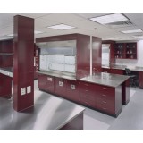 School Biological Steel Laboratory Fume Hood With Duct System