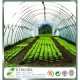 Ultraviolet Rays Protect Non Woven Fabric For Agriculture Use