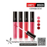 Free Samples Matte Me Rich Color Pigments Lip Gloss