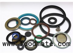 Hot Sale High Pressure Customized Double Lips All Types Oil Seal In NBR/FKM/SILICONE/PTFE/PU