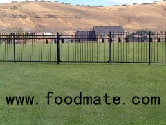 Decorative Black Aluminum Front Garden Gates