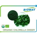 Organic Chlorella Powder