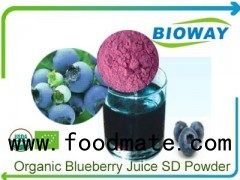 Organic Blueberry Juice Powder