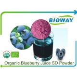 Organic Blueberry Juice Powder