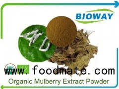 Organic Mulberry Extract Powder