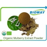 Organic Mulberry Extract Powder