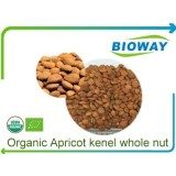 Organic Apricot Kenel Whole Nut