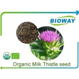 Organic Milk Thistle Seed
