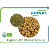 Organic Wild Chrysanthemum