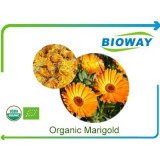 Organic Marigold