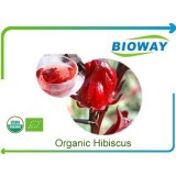 Organic Hibiscus