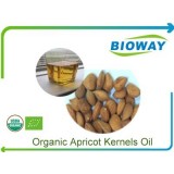 Organic Apricot Kernels Oil