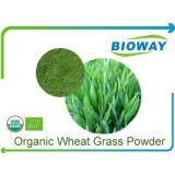 Organic Wheat Grass Powder