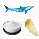 Chondroitin Sulphate 100% From Shark Cartilage Raw Material