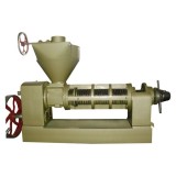 Big Capacity Seed Oil Press With Working Video 6YL-165