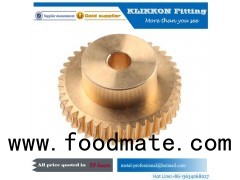 Bronze Brass Helical Bevel Spur Worm Gear