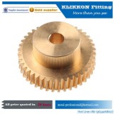 Bronze Brass Helical Bevel Spur Worm Gear